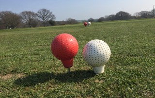 Golf Tee